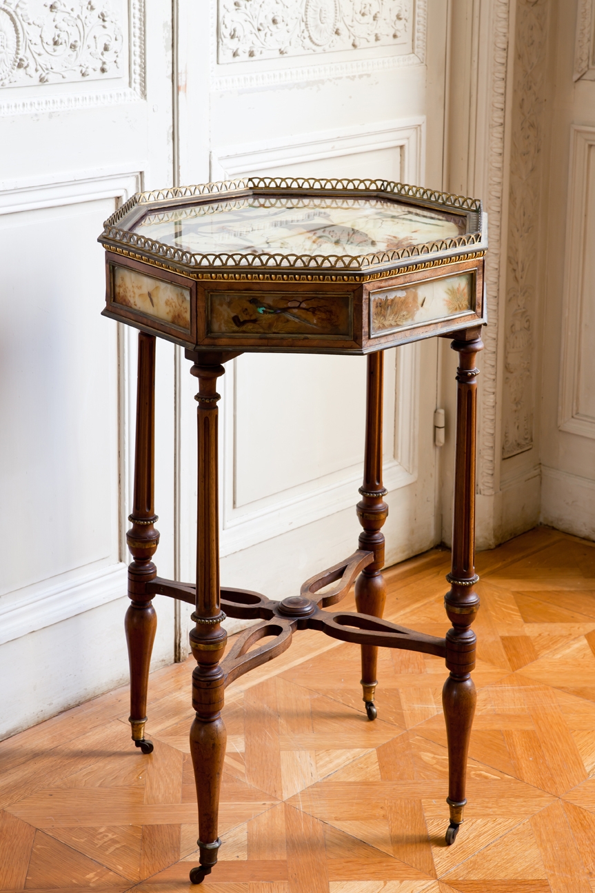 Les objets et meubles en cire avec inclusions ; Jean-Jacques Hettlinger, et le Cabinet-médaillier de Louis XVI Ver_651_s.lloyd_